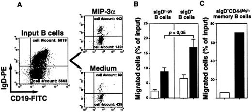 Fig. 5. MIP-3α/CCL20 preferentially attracts sIgD− memory B cells in transmigration chemotaxis assays. / Chemotactic response of B cells to MIP-3α/CCL20 in Transwell chemotaxis assay. MIP-3α/CCL20 (500 ng/mL) or migration buffer was placed in individual lower wells of 24-well Transwell plates, and unfractionated B cells or purified sIgD−CD44high memory B cells were layered into upper wells. The phenotype of medium- and MIP-3α-migrating B cells harvested after a 3-hour incubation at 37°C was compared to that of input B cells using anti–CD19-FITC and anti–IgD-PE MoAbs. The representative dot plots of input cells and transmigrated sIgDhigh naive and sIgD− memory subsets of B cells are shown in panel A. Absolute cell numbers (no./count) of naive and memory B cells that transmigrated are given. The percentage of naive and memory B cells that transmigrated toward MIP-3α (■) or migration buffer (□) are shown in panel B. Data represent mean ± SEM values obtained in 6 independent experiments using cells from different donors. Statistical difference between migration of naive and memory B-cell groups was analyzed by unpaired Student t test. The percentage of purified sIgD−CD44high memory B cells toward MIP-3α/CCL20 versus migration buffer is shown in panel C. Data from one representative experiment is shown.