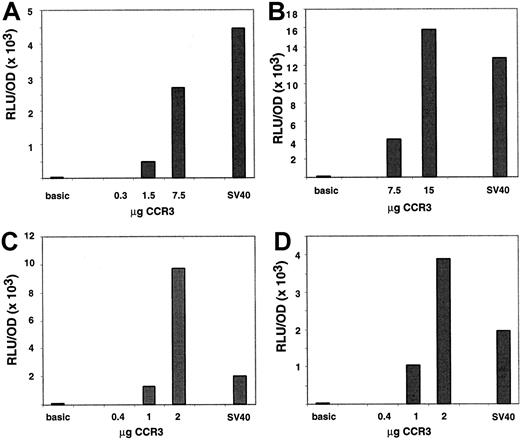 Fig. 6. Characterization of the functional CCR3 promoter in AML14.3D10 cells. / Cells (AML14.3D10) were transiently transfected with a reporter plasmid containing 1.6 kb of human CCR3, SV40, or no promoter ligated to the luciferase reporter gene. Cells were cotransfected with the pCDNA3.βGal plasmid and data are normalized to β-galactosidase activity. In panels A and B, 2 separate experiments are shown where cells were transfected by electroporation, whereas in panels C and D cells were transfected with Effectene. A dose response of the CCR3 promoter activity is depicted as well as the value of the negative control, promoterless vector (basic), and the positive control (SV40) promoter. The control vectors were used at 15 μg in panels A and B and 1 μg in panels C and D. On the y-axis, data are presented as RLU (luciferase activity)/OD (β-galactosidase activity).