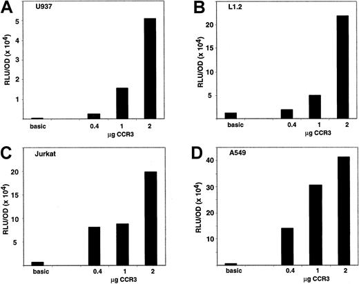 Fig. 7. Activity of the CCR3 promoter in noneosinophilic cell lines. / Cells were transiently transfected using the Effectene method with a reporter plasmid containing 1.6 kb of human CCR3 promoter or no promoter ligated to the luciferase gene. Cells were cotransfected with the pcDNA3.βGal plasmid and the data are normalized to β-galactosidase activity. Cell lines shown are A, U937; B, L1.2; C, Jurkat; and D, A549. A dose response of CCR3 promoter activity is depicted as well as the value of the promoterless vector (basic). The control vector was used at 1 μg in A through C and 0.4 μg in D. On the y-axis, data are presented as RLU (luciferase activity)/OD (β-galactosidase activity). Data are presented for a representative experiment (n = 2-4 for each cell line).