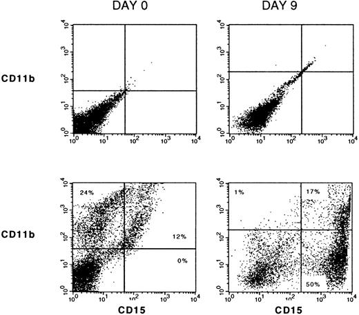 Fig. 2. Immunophenotype of ex vivo expanded cells. / PBPC were subjected to immunofluorescent staining on days 0 and 9 of culture using FITC-conjugated anti-CD15 and phycoerythrin-conjugated anti-CD11b, or isotype controls, then analyzed by flow cytometry.