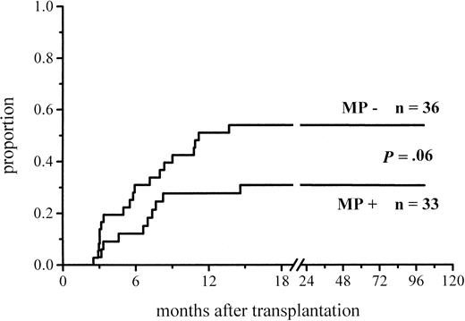 Fig. 4. Cumulative incidence of chronic GVHD in low-risk patients at risk for at least 100 days and given or not given MP.