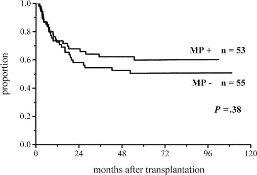 Fig. 7. Survival of patients given or not given MP.