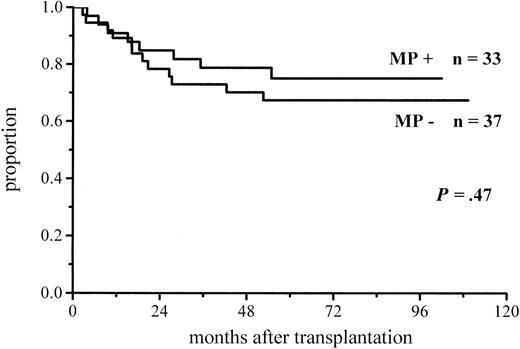 Fig. 8. Survival of low-risk patients given or not given MP.