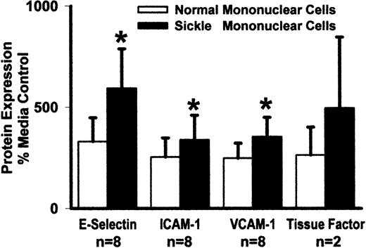 Fig. 2. Sickle mononuclear leukocytes activate HUVEC expression of E-selectin, ICAM-1, VCAM-1, and tissue factor relative to normal mononuclear leukocytes. / HUVEC were incubated with media alone or sickle or normal mononuclear leukocytes (2 leukocytes/endothelial cell) for 5 hours at 37°C. HUVEC adhesion molecule and tissue factor proteins were measured by enzyme immunoassay, and the results are expressed as a percentage of control (media only) HUVEC (100%). *P < .05 for sickle versus normal mononuclear leukocytes.