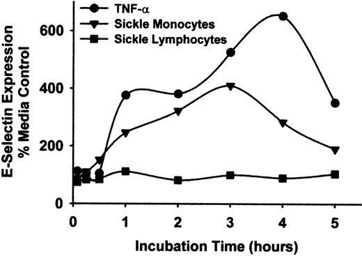 Fig. 5. Sickle monocytes, but not lymphocytes, activate HUVEC E-selectin expression. / Sickle monocytes and lymphocytes were separated by rate zonal density gradient centrifugation using OptiPrep medium as described in “Materials and methods.” HUVEC were incubated with TNF-α (10 ng/mL) or purified sickle monocytes or lymphocytes (2 leukocytes/endothelial cell) for increasing lengths of time, from 5 minutes to 5 hours. After the indicated incubation time, the TNF-α, monocytes, or lymphocytes were removed from the HUVEC by washing and were replaced with fresh media. All HUVEC were incubated for a total of 5 hours at 37°C, including the incubation time with TNF-α or leukocytes. After the 5-hour incubation, the endothelial cells were washed and E-selectin protein expression was measured by enzyme immunoassay. Results are expressed as a percentage of control (media only) HUVEC (100%) and are from a single representative experiment of 2.
