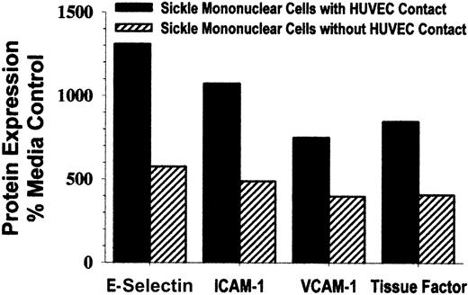 Fig. 6. Cell-to-cell contact between sickle mononuclear leukocytes and HUVEC enhances, but is not required for, up-regulation of adhesion molecules and tissue factor. / To prevent cell-to-cell contact, mononuclear leukocytes and endothelial cells (1.5 mononuclear leukocyte/endothelial cell) were separated by cell culture inserts with 0.4-μm, high-pore density membranes during the 4-hour incubation. HUVEC E-selectin, ICAM-1, VCAM-1, and tissue factor were measured by enzyme immunoassay, and the results are expressed as a percentage of control (media only)-treated HUVEC (100%). Results are from a single representative experiment of 2.