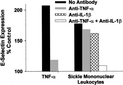 Fig. 7. Endothelial activation caused by sickle monocytes is inhibited by anti-TNF-α and IL-1β monoclonal antibodies. / Sickle mononuclear leukocytes were isolated and preincubated for 15 minutes at room temperature with blocking antibodies to TNF-α or IL-1β, individually and in combination (10 μg/mL of each IgG). The leukocyte/antibody mixtures were incubated with HUVEC for 4 hours at 37°C (1.5 mononuclear leukocyte/endothelial cell). HUVEC E-selectin was measured by enzyme immunoassay, and the results are expressed as a percentage of control (media only)-treated HUVEC (100%). Results are from a single representative experiment of 2.