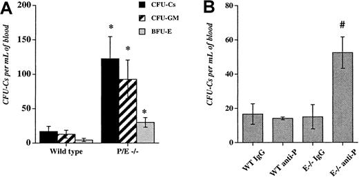Fig. 1. Deficiency or inhibition of endothelial selectins increase circulating hematopoietic progenitors. / (A), The low-density fraction of blood cells from wild-type and P- and E-selectin-deficient mice was isolated and plated to assay colony-forming units in culture (CFU-Cs). Colonies were scored using an inverted microscope after 7 days in culture. n = 4-5; *P < .05 compared with wild-type. (B), Wild-type (WT) and E-selectin-deficient (E−/−) mice were injected intravenously with either anti-P-selectin antibody or isotype-matched IgG control (1 mg/kg) for 3 consecutive days. Twenty-four hours after the last dose, low-density blood cells were isolated and assayed for CFU-C content. n = 3-4; # P < .05 compared with the other groups.