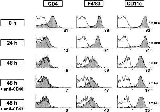Fig. 3. Modulation of CD4 expression by CD8α− DCs on culture. / CD8α− DC-enriched fractions were cultured for 24 hours or 48 hours alone or in the presence of anti-CD40 or anti-CD43 antibodies. CD8α− DCs were analyzed after gating for CD11c+ CD8α− cells. The percentage of cells positive for the indicated markers as well as the mean fluorescence intensity for CD11c expression is shown. White profiles represent control stainings. Data are representative of 3 experiments with similar results.