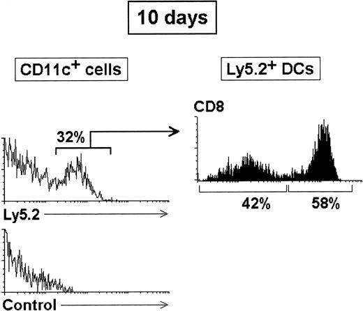 Fig. 6. Reconstitution of splenic CD8α+ and CD8α− DCs from CD44+ CD25+precursors. / Thymic CD44+ CD25+ precursors (3 × 104) were injected intravenously into 7 Gy γ-irradiated 8-week-old C57 BL/6 Ly 5.1 Pep3b recipient mice, along with 4 × 104 Ly 5.1 BM cells to ensure survival of recipients. Ten days after transfer of precursors, mice were analyzed for donor-derived DCs. The percentage of Ly5.2+ CD11c+ DCs as well as the percentage of CD8α− and CD8α+ DCs among Ly5.2+ DCs are indicated. Data are representative of 2 independent experiments with similar results.