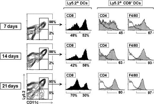 Fig. 7. Kinetics of splenic DC differentiation and phenotypic variations of CD8α− DCs during reconstitution after transfer of BM cells. / BM cells (2 × 106) from C57 BL/Ka Ly 5.2 donor mice were injected intravenously into γ-irradiated (7 Gy) C57 BL/6 Ly 5.1 Pep3b recipient mice. At the indicated times, mice were analyzed for donor-derived DCs in splenic DC-enriched 1.061-density fractions. The percentage of Ly5.2− and Ly5.2+CD11c+ DCs (contour plots), as well as the percentage of CD8α− and CD8α+ DCs among Ly5.2+ DCs (black histograms) are indicated. Grey profiles show the expression of CD4 and F4/80 by Ly5.2+CD8α− DCs; the percentage of CD4+ or F4/80+ cells is indicated. White profiles represent control stainings. These results are representative of three independent experiments with similar results.