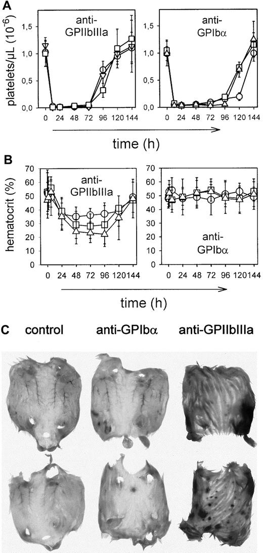 Fig. 6. Effects of repeated injections. / Mice received 7 injections of 7.5 μg mAb each intraperitoneally. (A) Platelet counts were determined at the indicated times, using an improved Neubauer hemocytometer. Results are shown as mean ± SD for groups of each 6 mice (○: IgG1; ■: IgG2a; ▿: IgG2b). (B) Hematocrits were determined at the indicated times. (C) Subcutaneous bleeding 48 hours after antibody injections.