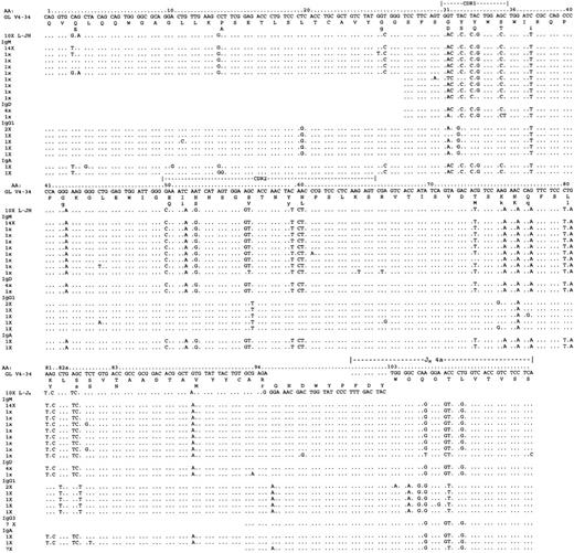 Fig. 3. Analysis of VH constant region transcripts from case 5049. / Alignment is made to the closest germline gene segments V4-34 and JH4a and to the LHJH sequences. Using VH primers together with constant region primers specific for IgM, IgD, IgG, and IgA, transcripts for IgM, IgD, IgG1, IgG3, and IgA were identified. Mutational patterns indicated 2 distinct clusters of transcripts: IgM/D, IgG3, and IgA on one hand and IgG1 and IgA on the other. Only nonidentical sequences are shown; the numbers at the left of each line indicate the frequency of the repeated sequences. Constant region sequences are not shown. In total, 59 tumor-related sequences were analyzed.