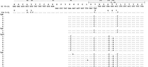 Fig. 5. Analysis of VH constant region transcripts from case 5184. / LHJH sequences are shown from FWR3 for reference. Transcripts for IgM, IgD, IgG1, and IgA were detected using a CDR3-specific primer together with constant region primers. As for case 5049, IgG1 sequences diverged from the IgM/D population. Mutations in codons 105 and 106 were shared with the α-transcripts, perhaps indicating a second switch event in a cell population that had switched from IgM/D to IgG1. The figure presents the 33 sequences that were analyzed. Constant region sequences are not shown.