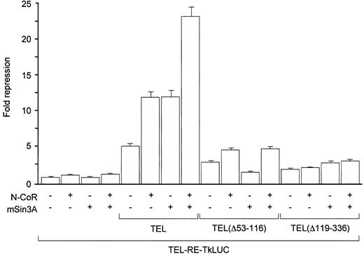 Fig. 3. Coexpression of N-CoR potentiates transcriptional repression by TEL, but not by TEL lacking the N-CoR interaction domain. / TEL, TEL(Δ53-116), or TEL(Δ119-336) expression plasmid (50 ng) was cotransfected with 200 ng of a luciferase reporter containing a single ETS consensus binding site upstream of HSV-Tk minimal promoter (TEL-RE-TkLUC) and 100 ng expression vectors for N-CoR and/or mSin3A as indicated. The expression of TEL had no effect on the reporter activity in the absence of the ETS binding site, and there were no significant variations observed in the expression of TEL proteins between different samples (data not shown).