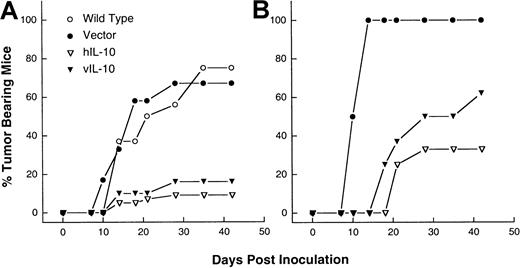 Fig. 1. IL-10 inhibits the tumorigenicity of DG75 sublines. / The 107 cells from wild-type (WT) as well as vector control, hIL-10–, and vIL-10–transfected sublines were injected sc into SCID mice (A), or antiasialoGM1-treated SCID mice (B). The combined results of 6 independent experiments are shown.