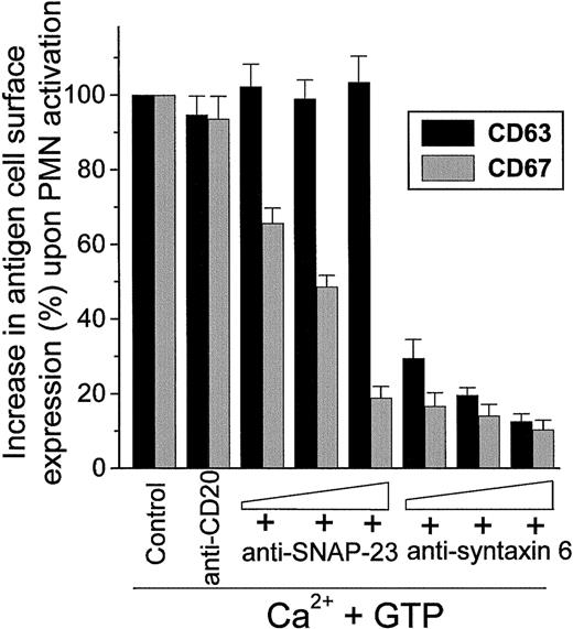 Fig. 10. Effect of anti–SNAP-23 and anti–syntaxin 6 antibodies on the up-regulation of CD63 and CD67 cell surface expression in activated electropermeabilized human neutrophils. / Electropermeabilized human neutrophils (PMNs) were incubated for 3 minutes at room temperature in the absence (Control) or in the presence of CD20 MoAb (2 μg/ml) or in the presence of increasing concentrations (8, 16, and 20 μg/mL) of anti–SNAP-23 and anti–syntaxin 6 antibodies. Cells were then incubated with 5 μg/mL cytochalasin B for 5 minutes at 37°C and activated with 1 μmol/L Ca++ and 50 μmol/L GTP-γ-S for 10 minutes at 37°C. Subsequently, cells were fixed with 1% paraformaldehyde for 2 minutes at room temperature and treated as described in “Materials and methods” for CD63 and CD67 cell surface expression. Data are expressed as percentage of the increase of CD63 and CD67 cell surface expression on electropermeabilized PMN activation compared with regard to the up-regulation of CD63 and CD67 detected in control Ca++ and GTP-γ-S–stimulated electropermeabilized neutrophils in the absence of any antibody (Control), considered as 100% of increase in cell surface antigen expression. Mean values ± SD of 3 independent determinations are shown.