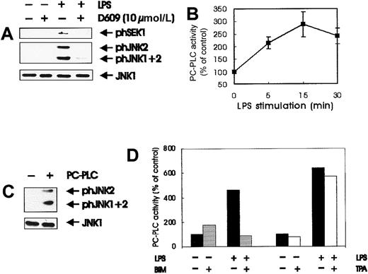 Fig. 5. Involvement of PC-PLC in LPS-induced JNK activation. / (A) PC-PLC inhibitor affects SEK/JNK activation; quiescent BAC-1.2F5 cells were pretreated with the PC-PLC inhibitor D609 (10 μmol/L, 60 minutes) before stimulation with 1.5 μg/mL LPS for 15 minutes. The presence of phosphorylated SEK and JNK was detected by immunoblotting with the corresponding antibodies. The inhibitor did not have any effect on the basal level of kinase phosphorylation. An anti-JNK1 blot is shown as loading control. (B) LPS stimulates PC-PLC; quiescent BAC-1.2F5 cells were stimulated with 1.5 μg/mL LPS for different times before solubilization. PC-PLC activity was determined in whole cell extracts as described in “Materials and methods.” Results are expressed as the percentage increase with respect to the control values. The plot in B represents the mean of 3 independent experiments, and vertical bars represent the standard errors of the mean. (C) Bacterial PC-PLC activates JNK in macrophages; quiescent BAC-1.2F5 cells were stimulated with 50 U/mL bacterial PC-PLC for 60 minutes before solubilization. The presence of phosphorylated JNK was detected by immunoblotting with the corresponding antibodies. An anti-JNK1 blot is shown as a loading control. (D) BIM pretreatment, but not down-regulation of DAG-dependent PKC, affects the activation of PC-PLC by LPS. Quiescent BAC-1.2F5 cells were left untreated (black bars) or were treated with BIM (10 μmol/L, 60 minutes; gray bars); alternatively, down-regulation of DAG-dependent PKC was performed as described in Figure 3B (white bars). Cells were stimulated with LPS for 15 minutes before lysis and determination of PC-PLC activity in whole cell extracts. Results are expressed as the percentage increase with respect to the control values.