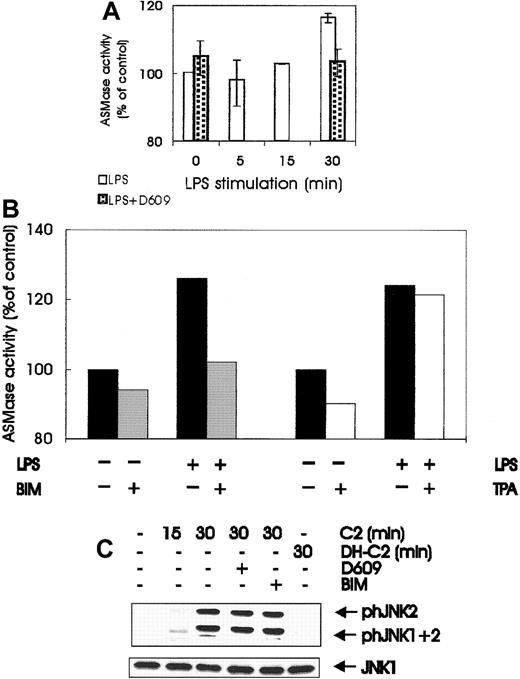Fig. 6. Involvement of ASMase and ceramide in JNK activation by LPS. / (A) LPS stimulates ASMase; quiescent BAC-1.2F5 cells were either left untreated or pretreated with D609 (10 μmol/L, 60 minutes) to block PC-PLC before stimulation with 1.5 μg/mL LPS for different times before solubilization. ASMase activity was determined in whole cell extracts as described in “Materials and methods.” Results are expressed as the percentage increase with respect to the control values. The plot represents the mean of 2 independent experiments, and vertical bars represent the range of the samples. (B) BIM pretreatment, but not down-regulation of DAG-dependent PKC, affects the activation of ASMase by LPS. Quiescent BAC-1.2F5 cells were left untreated (black bars) or were treated with BIM (10 μmol/L, 60 minutes; gray bars); alternatively, down-regulation of DAG-dependent PKC was performed as described in Figure 3B (white bars). Cells were stimulated with LPS for 15 minutes before lysis and determination of ASMase activity in whole cell extracts. Results are expressed as the percentage increase with respect to the control values. (C) Exogenous ceramide stimulates JNK in macrophages; BAC-1.2F5 cells were left untreated or were pretreated with D609 (10 μmol/L, 60 minutes) to block PC-PLC or with BIM (10 μmol/L, 60 minutes) to inhibit PKC. Cells were then stimulated with C2 ceramide (C2, 250 μmol/L) or with the inactive analog dihydro-C2 ceramide (DH-C2, 250 μmol/L), as indicated. The presence of phosphorylated JNK was detected by immunoblotting with the corresponding antibodies. An anti-JNK1 blot is shown as a loading control.