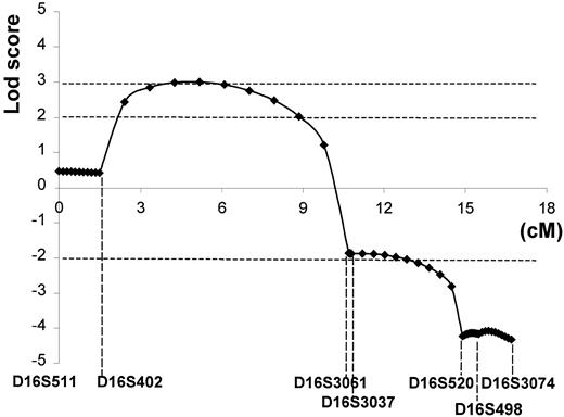 Fig. 7. Lod score. / The 95% confidence limits (Zmax ≥ 3.02) for the location of the responsible DHS locus spanned almost the complete 9-cM interval between markers D16S402-D16S3037 (16q23-q24).