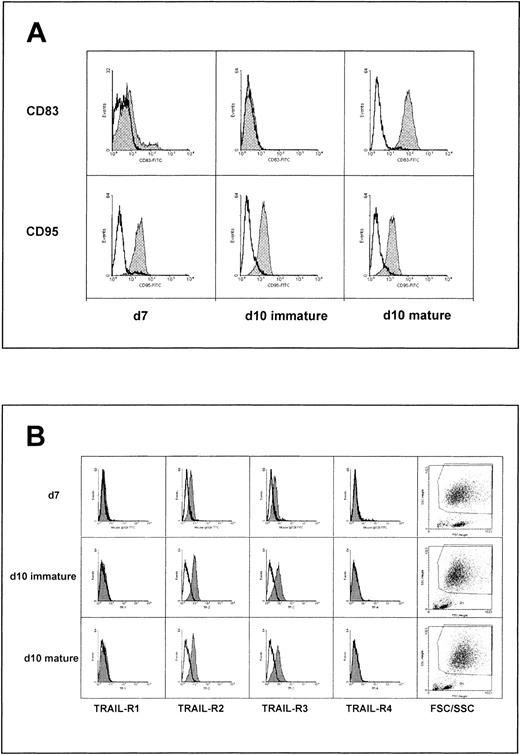 Fig. 1. Death receptor expression during maturation of human monocyte– derived dendritic cells. / (A) Immature DCs cultured for 7 days (d7) or 10 days (d10 immature) as well as mature DCs treated with IL-1α (500 IU/mL), IL6, TNF-α, IL-1β (all at 1000 IU/mL), and PGE2 (10−8mol/L) from day 7 to day 10 (d10) were incubated with 5 μg/mL of monoclonal Ab to CD95 (DX2) or CD83, followed by FITC-conjugated secondary Ab and analyzed by FACS. (B) Cells were treated as described above and analyzed for the presence of TRAIL receptors (TRAIL-R) 1 to 4.