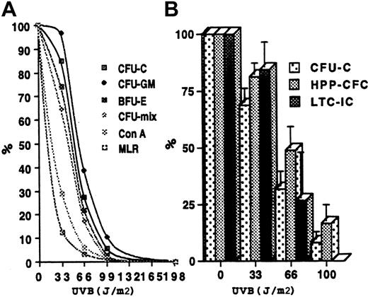 Fig. 1. Effect of UV-B on lymphocytes and hematopoietic progenitors. / (A) Dose-dependent reduction of lymphocyte proliferation and hematopoietic progenitors. The differences between the residual percentage of colony formation and lymphocyte proliferation at 33J/m2 were significant (see text). At 66 J/m2, only the difference between lymphocyte proliferation response and CFU-GM was significant (P < .005). (B) Preservation of more primitive hematopoietic progenitors after UV-B irradiation. MNC were separated from cord blood (n = 5) and PBSC (n = 5) and irradiated with various doses of UV-B. Residual percentages of CFU-C, HPP-CFC, and LTC-IC at doses of 33 J/m2 were 69% ± 25.1%, 81.4% ± 17.9%, and 84.5% ± 4.3%, respectively. These differences were not significant. Results are all expressed as means ± SD. Error bars in the graph represent SE.