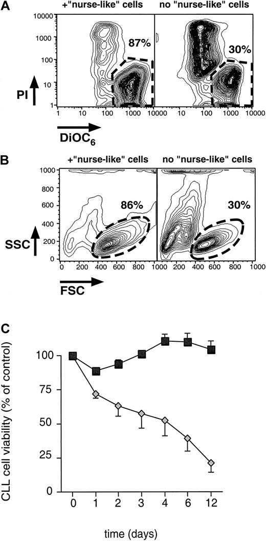 Fig. 2. Blood NLC protect CLL B cells from spontaneous apoptosis in vitro. / (A) Determination of CLL B-cell viability by staining with DiOC6 and PI. Presented are contour maps of CLL B cells from a representative patient defining the relative green (DiOC6) and red (PI) fluorescence intensities of the leukemia cells on the horizontal and vertical axes, respectively. The vital cell population (DiOC6bright, PI exclusion) was determined for CLL cells cultured in the presence (left box) or absence (right box) of NLC. Vital cells were gated as indicated by the polygons with the broken lines. Relative percentage numbers of vital cells are displayed above each of these gates. (B) Determination of CLL B-cell viability as assessed by light scatter. These contour plots show the relative forward-light scatter (or FSC) or granularity (side-light scatter, or SSC) of CLL cells from the same patient sample as displayed in A, cultured with (left box) or without (right box) NLC. Vital cells were gated as indicated by the circles with the broken lines, and the relative percentage numbers of vital cells are indicated above each of these gates. (C) Viability of CLL cells in the presence or absence of NLC. CLL cells from 6 patients were removed from NLC in long-term CLL B-cell cultures 14 days after seeding, and the leukemia cells were plated in either wells with NLC (squares) or without NLC (diamonds). Displayed are the mean percentage viability values (±SEM) of leukemia cells assessed at the indicated time points relative to those noted at initiation of culture on day 0.