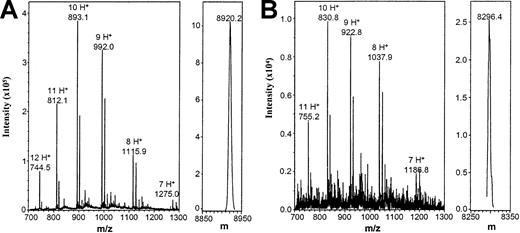 Fig. 6. Mass spectrometry analysis of IL-8(1-77) and IL-8(7-77). / IL-8(1-77) (A) and IL-8(7-77) (B) were desalted and subjected to electrospray mass spectrometry analysis to exclude the possibility of carboxyterminal cleavage by gelatinase B. Unprocessed (m/z) and charge-deconvoluted (m) spectra are shown. Theoretical masses of IL-8(1-77) and IL-8(7-77) are 8922.5 d and 8298.7 d, respectively. In the left panels, the m/z values for the differently charged ions are indicated, as are the number of protons (H+) they carry.