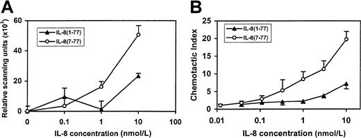 Fig. 9. Gelatinase B release and chemotactic activities of IL-8(1-77) and IL-8(7-77). / (A) Purified granulocytes were incubated with various concentrations of IL-8(1-77) and IL-8(7-77) for 30 minutes to induce the release of gelatinase B. Gelatinase B in the culture fluid of stimulated cells was analyzed by substrate zymography, quantified by scanning densitometry, and expressed in scanning units after the subtraction of background levels. Results are indicated as the mean (±SEM) of 3 independent experiments with neutrophil preparations from different donors. (B) The chemotactic activity of IL-8(1-77) and IL-8(7-77) for neutrophils was compared in a modified Boyden chemotaxis chamber. Chemotactic indices are shown as the mean and the standard errors of mean of 4 independent experiments with cell preparations from different donors.