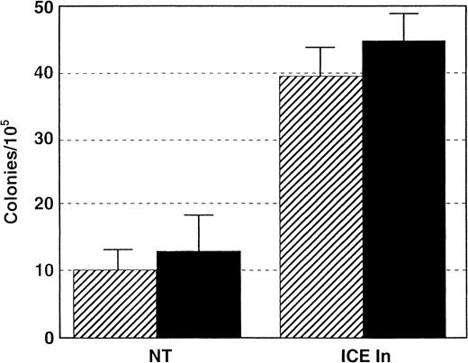 Fig. 2. Effect of caspase inhibitor on colony formation of BM obtained from HIV-infected persons. / Effects of ICE inhibitor on hematopoietic colony formation by BMMCs obtained from HIV-infected patients (n = 3). Numbers of erythroid (▨) and myeloid (▪) colonies are demonstrated as bars seen after 105 BMMCs. Results are similar to those observed in normal controls.