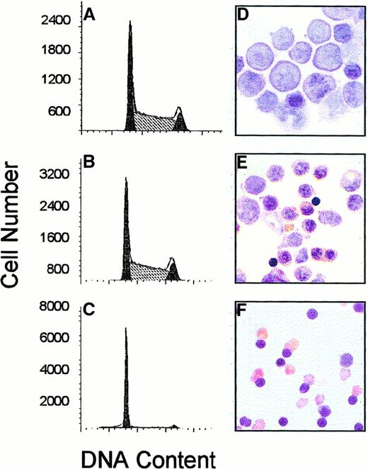 Fig. 1. DNA cell cycle kinetics and morphologic changes during terminal erythroid differentiation. / FVA erythroblasts were cultured for 0 (A, D), 24 (B, E), or 48 (C, F) hours with EPO. Cells were removed from culture and analyzed for DNA cell cycle analysis of PI-stained cells by flow cytometry (A, B, C) or benzidine staining (D, E, F). Percentages of cells in G1 at 0, 24, and 48 hours of culture were 32%, 49%, and 84%, respectively.