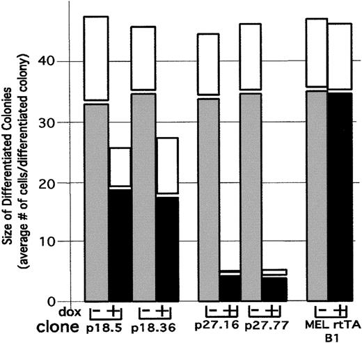 Fig. 4. Effect of p18 and p27 on proliferation of differentiated cells. / We cultured p18 and p27 MEL cell transfectants in the presence of 5 mmol/L HMBA for 12 hours. HMBA was washed out, and the transfectants were cultured in the presence of 1 μg/mL Dox for 12 hours. The cells were plated in plasma clots and incubated for 4 days (solid bars) and 7 days (open bars) at 37°C in the absence of both HMBA and Dox. The clots were then stained with benzidine and hematoxylin as described in “Materials and methods.” The proliferative capacity of cells that were committed to differentiation was determined by counting the number of cells in at least 100 colonies that stained positive with benzidine.