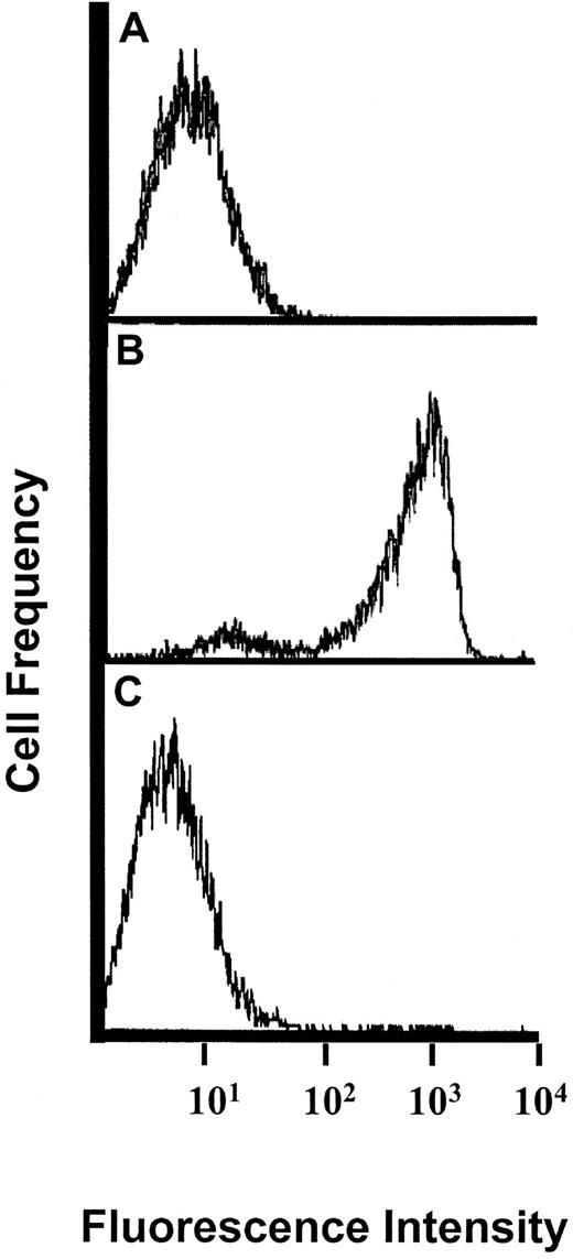 Fig. 1. Flow cytometric analysis of P-selectin–Ig binding to PSGL-1 on KG1a cells after mocarhagin digestion. / (A) staining pattern of isotype control (human IgG1) antibody, followed by protein A-FITC; (B) buffer-treated cells stained with P-selectin–Ig chimera, followed by protein A-FITC; (C) mocarhagin-treated cells stained with P-selectin–Ig, followed by protein A-FITC. Note shift in fluorescence intensity of P-selectin–Ig binding to PSGL-1 after mocarhagin digestion, compared with buffer-treated cells.