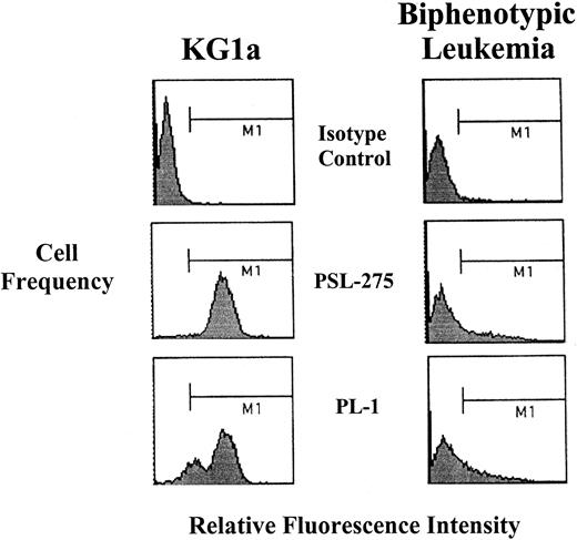Fig. 5. Flow cytometric analysis of PSGL-1 expression (PSL-275 and PL-1) on blasts from biphenotypic leukemia. / Note that PSGL-1 expression was markedly lower than that of KG1a, though HCLL activity was identical (Table 6).