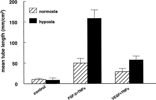 Fig. 2. Capillary-like tube formation is increased under hypoxic conditions. / hMVECs were cultured on top of a 3-dimensional fibrin matrix in M199 supplemented with 10% HS and 10% NBCS under normoxic or hypoxic culture conditions and were not stimulated (control) or stimulated with 10 ng/mL each FGF-2+TNF-α or with 25 ng/mL VEGF165 and 10 ng/mL TNF-α (VEGF165+TNF-α). After 3 days of culturing, the mean tube length (mm/cm2) was measured as described. The data represent the mean plus or minus SD of 5 independent experiments performed in duplicate wells.