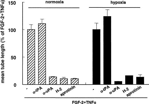 Fig. 3. Inhibition of capillary-like tube formation by uPAR antibodies. / hMVECs were cultured on top of a 3-dimensional fibrin matrix in M199 supplemented with 10% HS and 10% NBCS under normoxic or hypoxic culture conditions and were stimulated with 10 ng/mL each FGF-2+TNF-α in the presence of 100 μg/mL pAb anti-tPA, 100 μg/mL pAb anti-uPA, 5 μg/mL mAb H-2 (anti-uPAR), or 100 U/mL aprotinin. After 3 days of culturing, the mean tube length (mm/cm2) was measured as described and expressed as a percentage of FGF-2+TNF-α. The data represent the mean plus or minus SD of 3 independent experiments performed in duplicate wells.