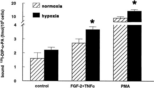 Fig. 5. Hypoxia increases uPAR antigen levels. / hMVECs were cultured for 72 hours in normoxic and hypoxic conditions in M199 supplemented with 10% HS and not stimulated (control) or stimulated with 10 ng/mL each FGF-2+TNF-α or with 10−8mol/L phorbol myristate acetate (PMA). Subsequently, the cells were cooled on ice, and the specific binding of 125I-labeled DIP-uPA to hMVECs was determined and expressed as fmol125I-uPA/105 cells. The data represent the mean plus or minus SEM of 4 independent experiments performed in duplicate wells. The asterisk indicates P < .05, which is significantly different from the normoxic counterpart.
