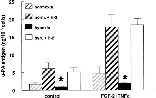 Fig. 6. Hypoxia does not decrease uPA production. / hMVECs were cultured for 72 hours in normoxic and hypoxic conditions in M199 supplemented with 10% HS and not stimulated (control) or stimulated with 10 ng/mL each FGF-2+TNF-α in the presence of 0 or 5 μg/mL mAb H-2. After the incubation period, the uPA antigen levels were determined in the conditioned media by ELISA, as previously described, and expressed as ng uPA/105 cells. The data represent the mean plus or minus SD of 3 independent experiments performed in duplicate wells. The asterisk indicates P < .05, which is significantly different from the normoxic counterpart.