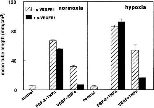 Fig. 8. sVEGFR-1 does not inhibit FGF-2+TNF-α–induced tube formation in hypoxia. / hMVECs were cultured on top of a 3-dimensional fibrin matrix in M199 supplemented with 10% HS and 10% NBCS under normoxic or hypoxic culture conditions and were not stimulated (control) or stimulated with 10 ng/mL each FGF-2+TNF-α or with 25 ng/mL VEGF165 and 10 ng/mL TNF-α (VEGF165+TNF-α) in the presence of 0 or 2 g nmol/L sVEGFR-1. After 3 days of culturing, the mean tube length (mm/cm2) was measured as described. The data represent the mean plus or minus SD of 3 independent experiments performed in duplicate wells.