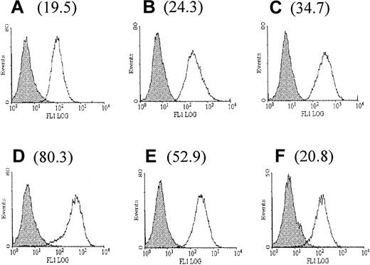Fig. 1. Up-regulation of DAF expression on HUVECs following stimulation with thrombin. / The expression of DAF on resting and thrombin-stimulated HUVECs was assessed by flow cytometry using MoAb 1H4. The figure shows background fluorescence (FITC-labeled rabbit antimouse antibody alone) (shaded histograms) and DAF expression (open histograms) on unstimulated HUVECs (A) and HUVECs stimulated with thrombin (10 U/mL) for 6 hours (B), 12 hours (C), 24 hours (D), 48 hours (E), and 72 hours (F). The RFI for DAF expression at each time point is shown in brackets. The RFI represents the mean MFI with the test MoAb divided by the MFI using an isotype-matched irrelevant MoAb. The results are representative of 3 experiments on separate EC cultures.