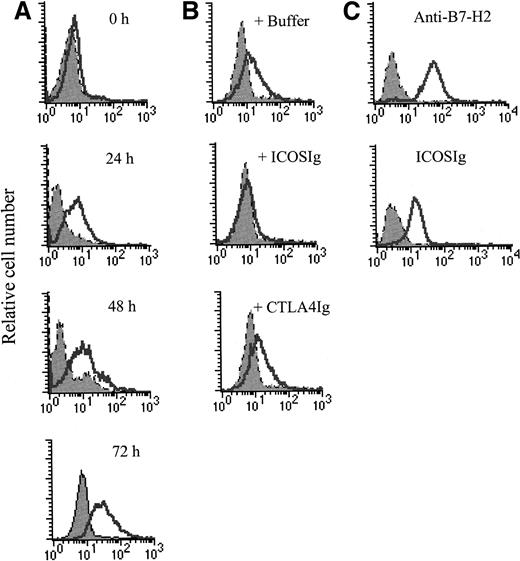 Fig. 3. Binding of B7-H2 to ICOS on activated T cells. / (A) Expression of the counter-receptor of B7-H2 on activated T cells. Resting (0 hour) and activated T cells were stained with B7-H2Ig (open) or control Ig (shaded) and analyzed by flow cytometry. T cells were activated with PHA (5 μg/mL) for the indicated times (24, 48, and 72 hours). (B) ICOSIg abrogates the binding of B7-H2 to activated T cells. Purified T cells were stimulated with 5 μg/mL PHA for 48 hours. Activated T cells were stained with control Ig (shaded) or 1 μg of B7-H2Ig (open) in the presence of buffer, ICOSIg (10 μg), or CTLA4Ig (10 μg) and analyzed by flow cytometry. (C) Binding of ICOSIg to cell surface B7-H2. CHO cells transfected with phB7-H2 (open) or parental vector (shaded) were stained with ICOSIg or anti-B7-H2 antibody and analyzed by flow cytometry.