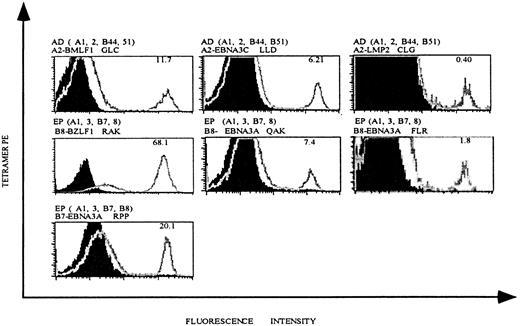 Fig. 1. HLA tetramers complexed with EBV epitopes stain EBV-specific CD8 T cells. / EBV-specific T cell lines were generated from EBV+individuals AD and EP by in vitro restimulation with autologous B-LCLs, as described in “Materials and methods.” HLA-A andHLA-B alleles expressed in these individuals and the HLA tetramer used for staining are indicated above each histogram. Each plot is gated on live, CD8+ T lymphocytes, and the percentage of tetramer-positive T cells is indicated in the right upper corner of each histogram.