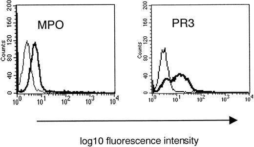 Fig. 1. Cell surface expression of MPO and PR3 on unstimulated PMNs and on PMNs stimulated with 10 μmol/L fMLP (FACScan analysis). / Typical shifts observed after stimulation are shown (bold curve), indicating expression of MPO and PR3. Similar results were obtained for 4 individual experiments.