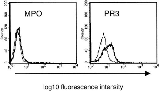 Fig. 4. Cell surface expression of MPO and PR3 on PMNs primed with TNF-α (2 ng/mL) for 10 minutes (FACScan analysis). / The bold line represents expression after priming; the thin line represents before priming. Increased PR3 but not MPO cell surface expression was detected as shown by 2 typical shifts observed after priming. Similar results were obtained for 4 individual experiments.