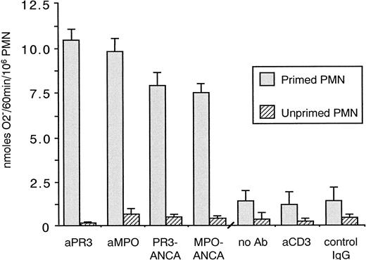 Fig. 5. Release of O2− radicals by unstimulated and TNF-α primed PMNs. / While primed PMNs were responsive to antibodies recognizing PR3 and MPO, unstimulated PMNs were not.