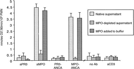 Fig. 6. Release of O2− radicals by unstimulated PMNs preincubated with native supernatant of autologous degranulated PMNs, MPO-immunodepleted supernatant, or purified MPO added to buffer. / In the presence of soluble MPO during preincubation, PMNs became responsive to anti-MPO antibody, resulting in the release of O2− radicals.