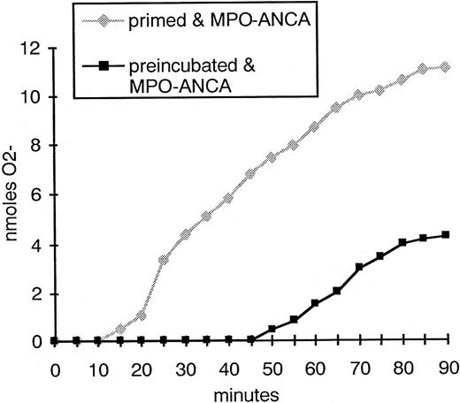 Fig. 7. Example of an online measurement of O2− release in PMNs primed with TNF-α, as compared with unstimulated PMNs preincubated with supernatant from autologous degranulated PMNs. / Release of O2− radicals over 90 minutes is faster and greater in primed PMNs incubated with MPO-ANCA than in preincubated unstimulated PMNs exposed to MPO-ANCA. Similar results were obtained for 4 individual experiments.
