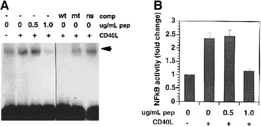 Fig. 3. EMSA of NF-κB activity in pepstatin-treated cells. / (A) Nuclear extracts were prepared from cells treated with CD40L in the presence of pepstatin A for 45 minutes and NF-κB DNA binding activity was determined. The arrowhead indicates the position of the protein-DNA complex. (B) Quantitation of the effect of pepstatin A on CD40-mediated NF-κB activation. Data shown are mean ± SE from 3 independent experiments performed as in panel C. Pep indicates pepstatin A.