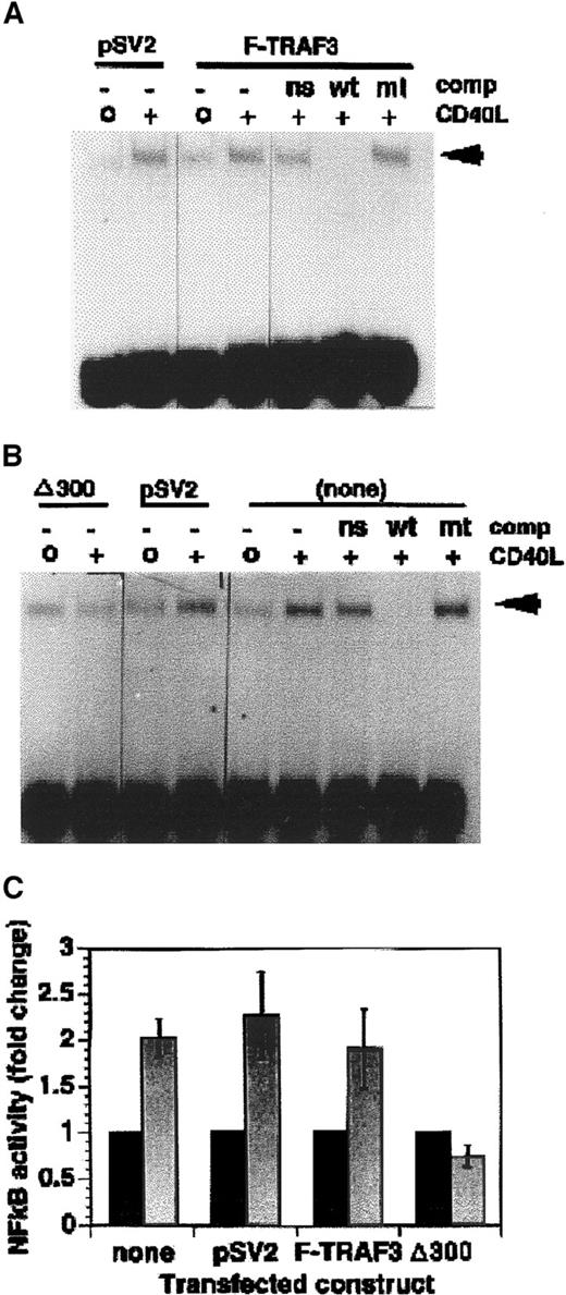 Fig. 5. Constitutive expression of the N-terminal deletion mutant of TRAF3 blocks NF-κB activation following CD40 ligation. / (A) KMH2 transfectants expressing the full-length TRAF 3 construct (F-TRAF3) or the selectable marker alone (pSV2) were stimulated for 1 hour with CD40L. Nuclear extracts were analyzed for NF-κB DNA-binding activity EMSA. (B) KMH2 transfectants expressing the deletion mutant of TRAF3 (δ300TRAF3) or the selectable marker alone (pSV2neo) were stimulated for 1 hour with CD40L and nuclear extracts were analyzed for NF-κB DNA-binding activity. (C) Mean ± SE of densitometric results from 3 independent experiments as performed in panels A and B. Comp indicates competitor; ns, nonspecific; wt, wild type; mt, mutant; none, untransfected. Arrowheads indicate shifted oligonucleotide. The bars above the gels indicate the transfected construct contained in the KMH2 cells used in the experiment.