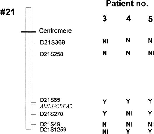 Fig. 1. LOH for chromosome 21 polymorphic markers in patients 3, 4, and 5. / Y indicates a loss of heterozygosity; N, no loss of heterozygosity; NI, not informative.